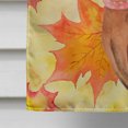 thumbnail image 4 of Carolines Treasures BB9917CHF Miniature Pinscher Fall Flag - Canvas House Size, 4 of 4