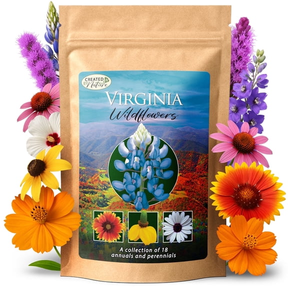Virginia Wildflower Seed Mix, 18 Flower Varieties, 35,000  Seeds - Created By Nature