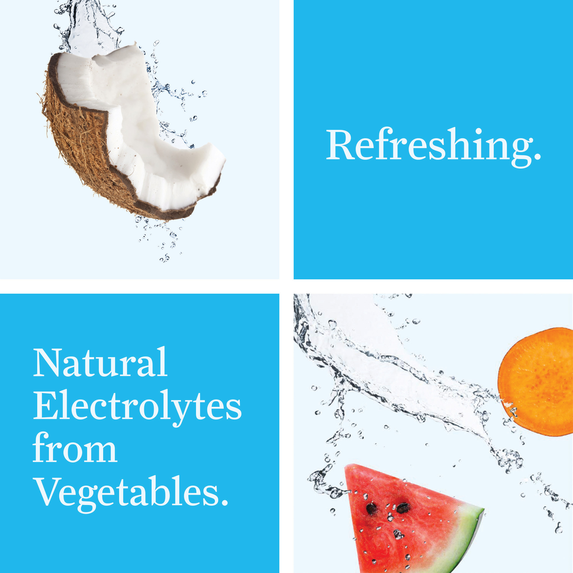 V8 +Hydrate Plant-Based Hydrating Beverage, Coconut Watermelon, 8 oz. Can (Pack of 6)