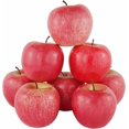 thumbnail image 3 of Set of 8 Realistic Artificial Red Apples - Fake Fruits for Kitchen, Wedding, Party, Decor, Photos, 3 of 5