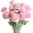 Pink Purple, variant on 5PCS Artificial Ranunculus Flowers with Real Touch Stem Silk Ranunculus Flowers for Household Arrangement,20inch