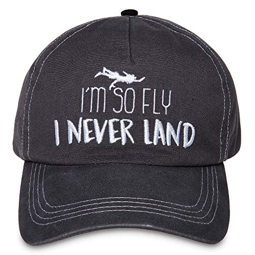 Neverland Baseball Cap Gray 