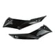 thumbnail image 1 of CUBIERTA INFERIOR MOTOR SET BAJAJ PULSAR NS 160 (19-24) multicolor, 1 of 3