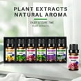 thumbnail image 2 of 6*10ml Essential Oils Set - Top 6 Blends for Diffusers, Home Care, Home Fragrances, Candle Making Scents, Fragrance, Aromatherapy, Humidifiers, Gifts - Mint, Tea Tree, Lavender, Roses, Jasmine, Lemon, 2 of 11