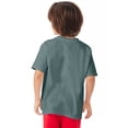 thumbnail image 3 of Hanes Kids' Garment Dyed Cotton T-Shirt Cypress Green XS, 3 of 4