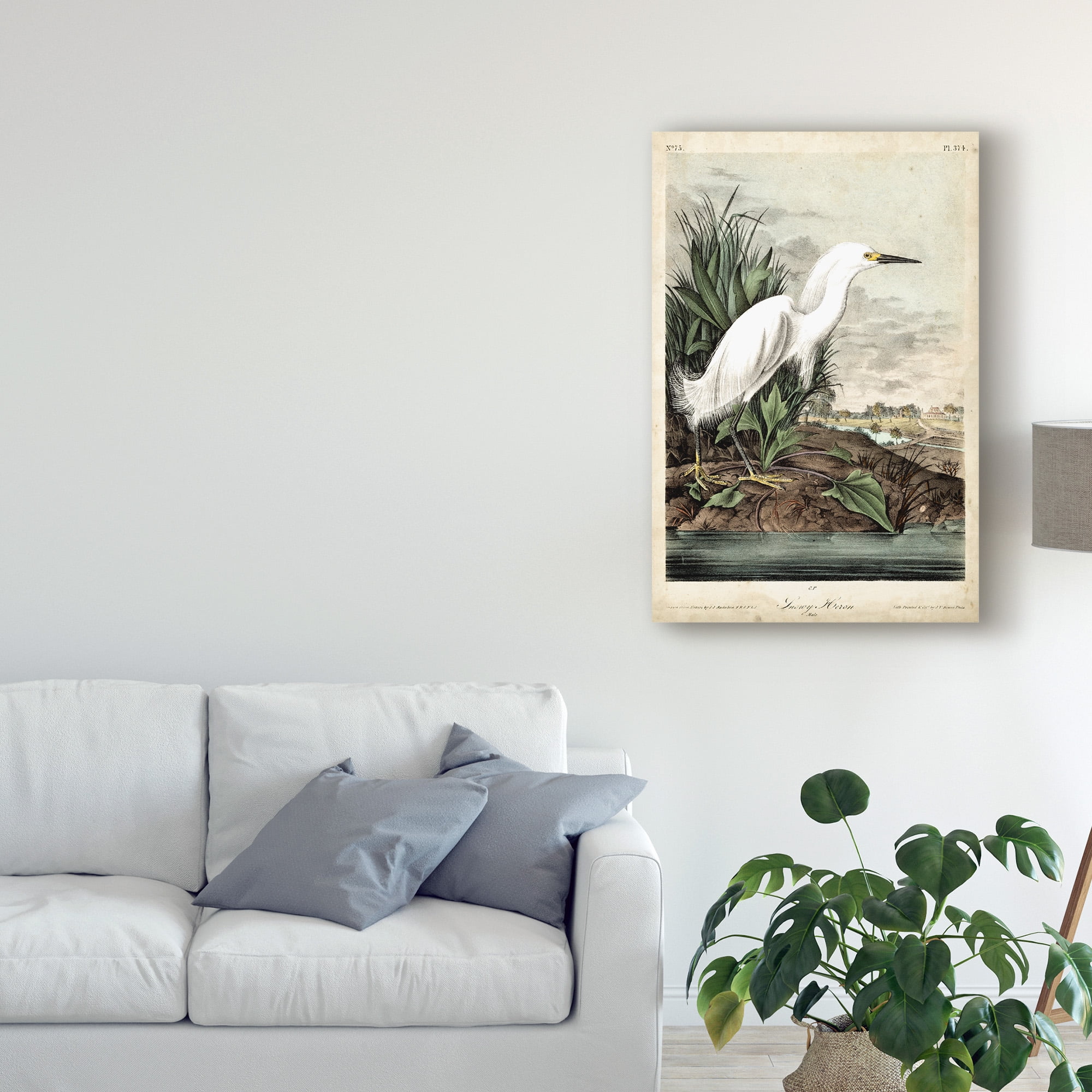 Trademark Fine Art 'Snowy Heron White' Canvas Art by John James Audubon