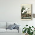 thumbnail image 3 of Trademark Fine Art 'Snowy Heron White' Canvas Art by John James Audubon, 3 of 4