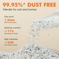 thumbnail image 2 of Noisy Lion Vanilla White Tea Cat Litter, 4.8 kg / 10.6 lb (2 packs), Flushable and Dust-Free Clumping Tofu Litter with Odor Control, 2 of 14