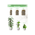thumbnail image 2 of Plastic Moss Monstera Poles Mesh Kit, DIY Self-Watering Moss Stake for Plants, Monstera Supports, 2 of 5