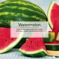 thumbnail image 4 of Little Trees Air Freshener Watermelon Fragrance 3-Pack, 4 of 9