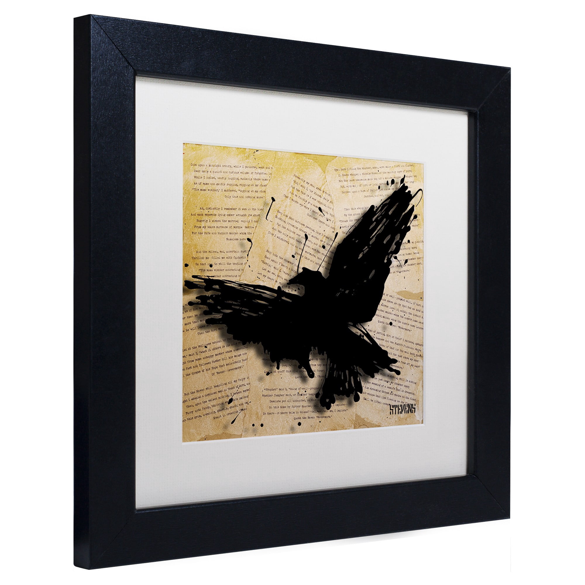 Trademark Fine Art "The Raven 2" Canvas Art by Roderick Stevens, White Matte, Black Frame