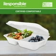 thumbnail image 3 of 9 x 6 inch 2-Compartment Hinged Containers | Tree-Less™ Compostable Molded Fiber, 3 of 3