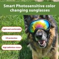 thumbnail image 4 of Gafas De Sol Grandes Para Perros, Gafas De Perros Antibugas A Prueba De Viento Gafas De Perros De Perros Raza Grande Para Perros Al Aire Seguridad Para Los Ojos, 4 of 7