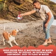 thumbnail image 4 of Pelota de fútbol QDAN de juguete para perros, extra pequeña, para pollos y cachorros, 4 of 5