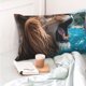 thumbnail image 4 of Fotbe Ice Blue Coastal Lion Funda de Almohada Decorativa Estilo Occidental, Lujo en Algodón, Fundas para Almohadas King, Cojín Estampado para Decoración del Hogar-14"x20", 4 of 6