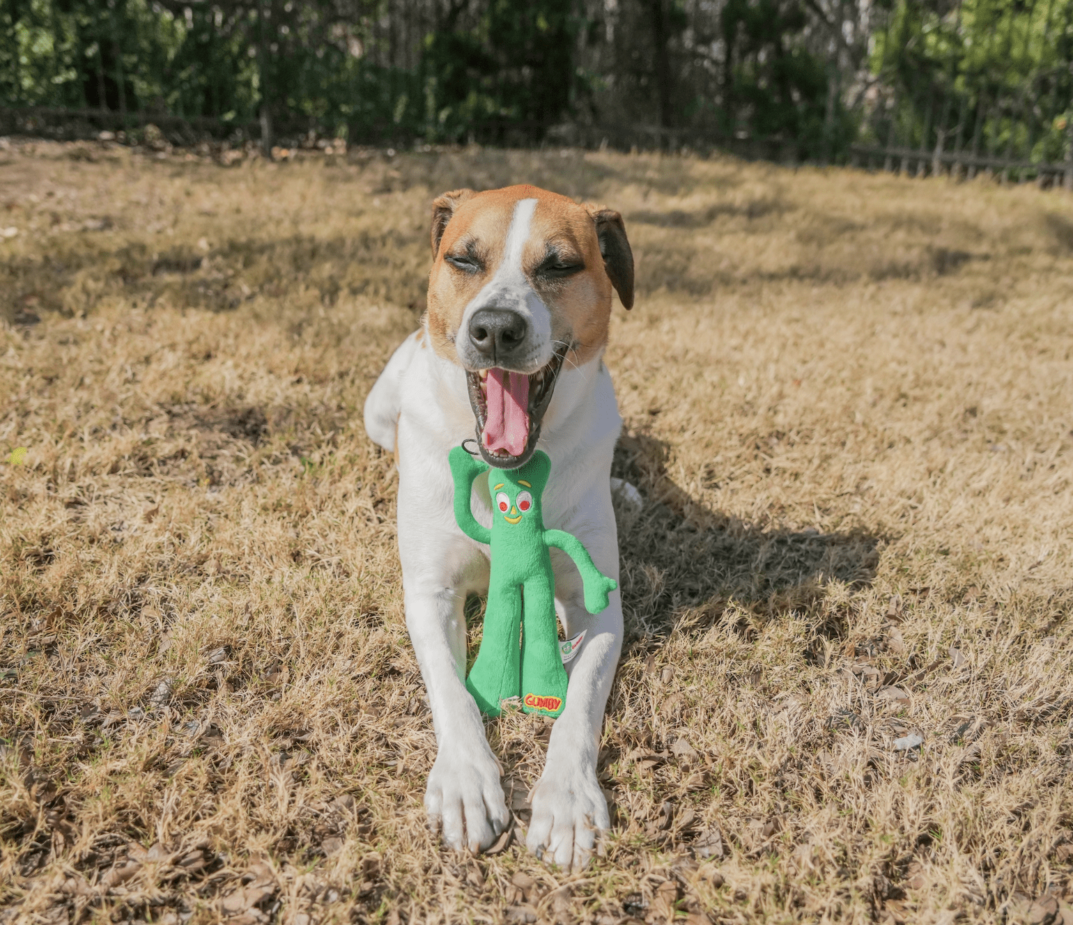 Multipet GUMBY PLUSH