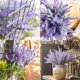 thumbnail image 4 of 10 racimos de flores de imitación, lavanda, morado, flocado, plantas decorativas en macetas, jardín, boda, patio, decoración de oficina (14 pulgadas por manojo) JM JM, 4 of 4