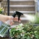 thumbnail image 5 of Xihbxyly Botella Rociadora, Herramienta de Jardinería de Niebla Fina, Lata de Plástico de Diseño Ergonómico, Uso Versátil para Plantas y Cabello, Compañero de Viaje Portátil, Esencial para El Cuidado, 5 of 7
