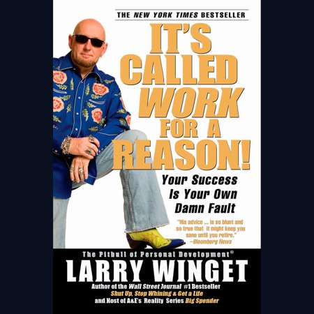 It's Called Work for a Reason! - Audiobook