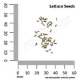 FerryMorse Organic 575MG Lettuce Salad Bowl Vegetable Plant Seeds Full