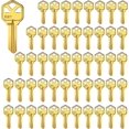 thumbnail image 1 of Brass Finish Key Blanks, Uncut Blank Keys, Pack Of 50 Keys, 1 of 5