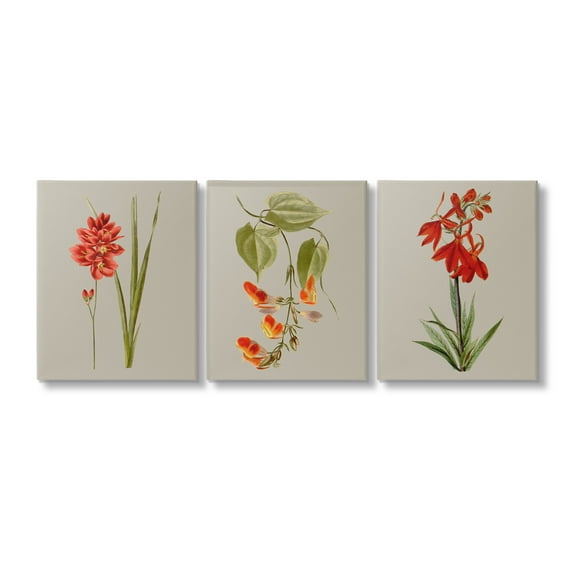 Stupell Industries Woodland Flower Study Botanical & Floral Painting Gallery Wrapped Canvas Art Print Wall Art, 11 x 14, Set of 3