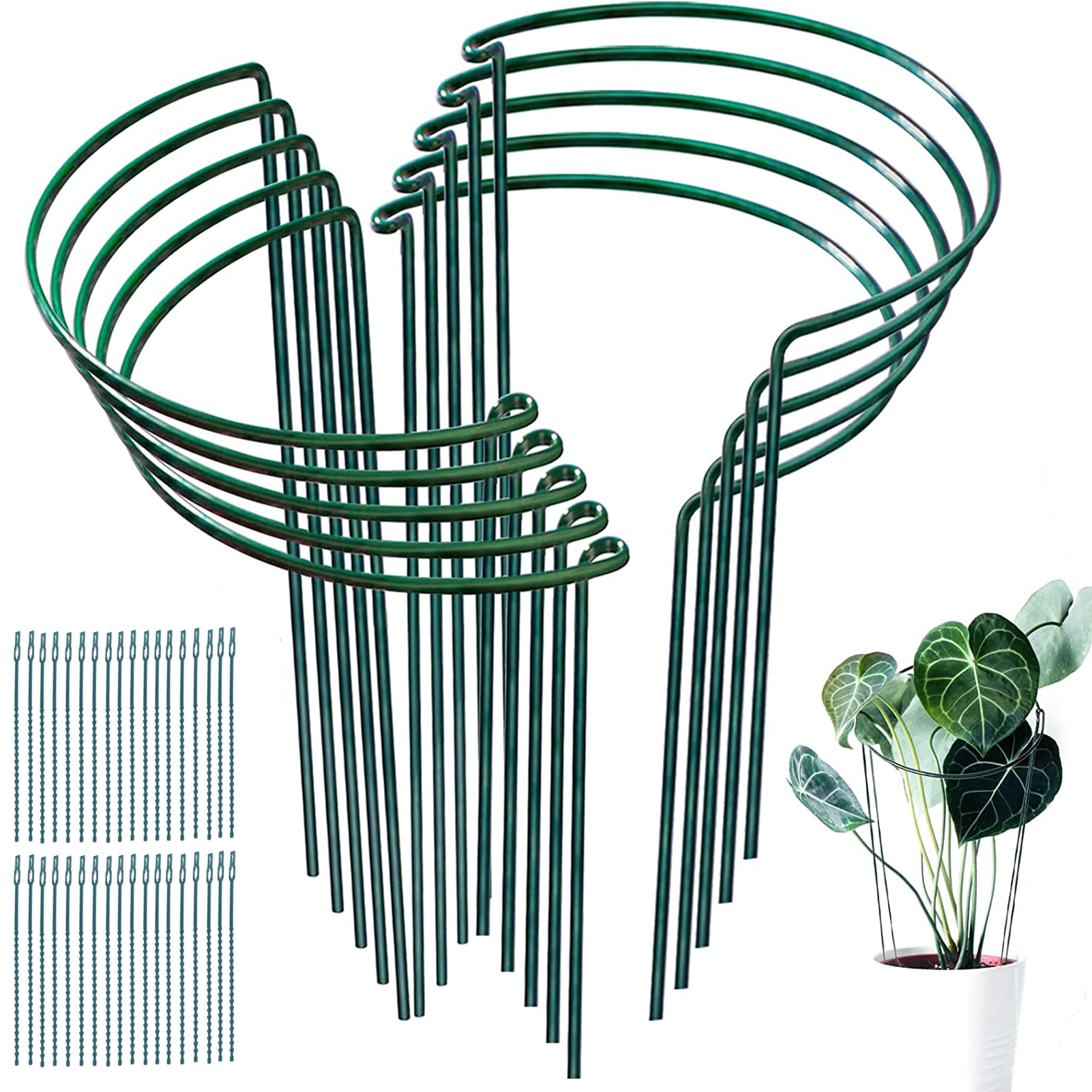 6 Pack Plant Supports for Ourdoor Indoor Plants,10x16inch Metal Plant ...