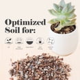thumbnail image 5 of Bonsai Jack Succulent and Cactus Soil, 1 Gallon, 5 of 6