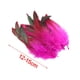 thumbnail image 3 of 50 piezas de Plumas decorativas BLESIY Rosa roja para manualidades, 3 of 8