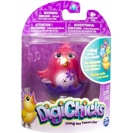 DigiChicks Single Pack, Daisy