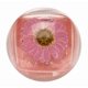 thumbnail image 3 of Dúo de brillo Labial Blossom doble Dip rosa, 3 of 3