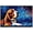Basset Hound, variant on Australian Cattle Canvas Unframed Colofull Inspired bedroom decor - Dog Pet Family Animal Friend Peace Oil Painting Art Print Canvas Wall Décor