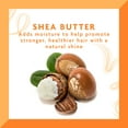 thumbnail image 4 of Cantu Shea Butter Moisturizing Cream Shampoo, 13.5 Oz, 4 of 9