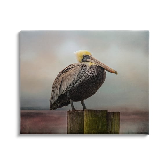 Stupell Pelican Perched Wildlife Nature Animals & Insects Photography Gallery Wrapped Canvas Print Wall Art