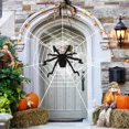 thumbnail image 4 of Giant Yard Halloween Decorations Outdoor Spider Web Big Stretch Cobweb Set Party, 4 of 6