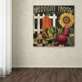thumbnail image 4 of Trademark Fine Art "Vermont Farms VIII" Canvas Art by Color Bakery, 4 of 4