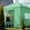 Green, variant on EAGLE PEAK 10x10 Portable Walk-in Greenhouse Instant Pop-up Easy Setup Indoor Outdoor Plant Gardening Green House Canopy,Green