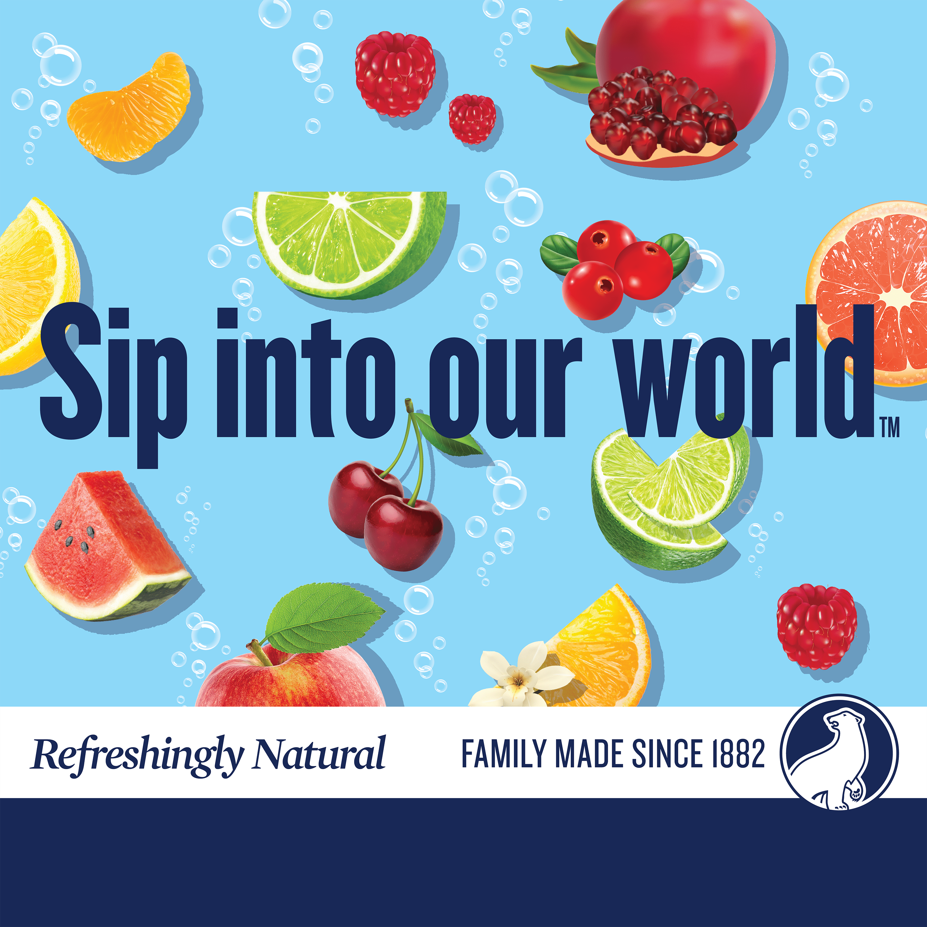 Polar Seltzer Water Blackberry Mango, 1 L, Bottle