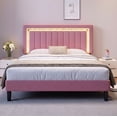 thumbnail image 3 of Amolife Queen Bed Frame, Platform Bed with Crystal LED Light Velvet Vertical Channel Upholstered Headboard, Pink, 3 of 9