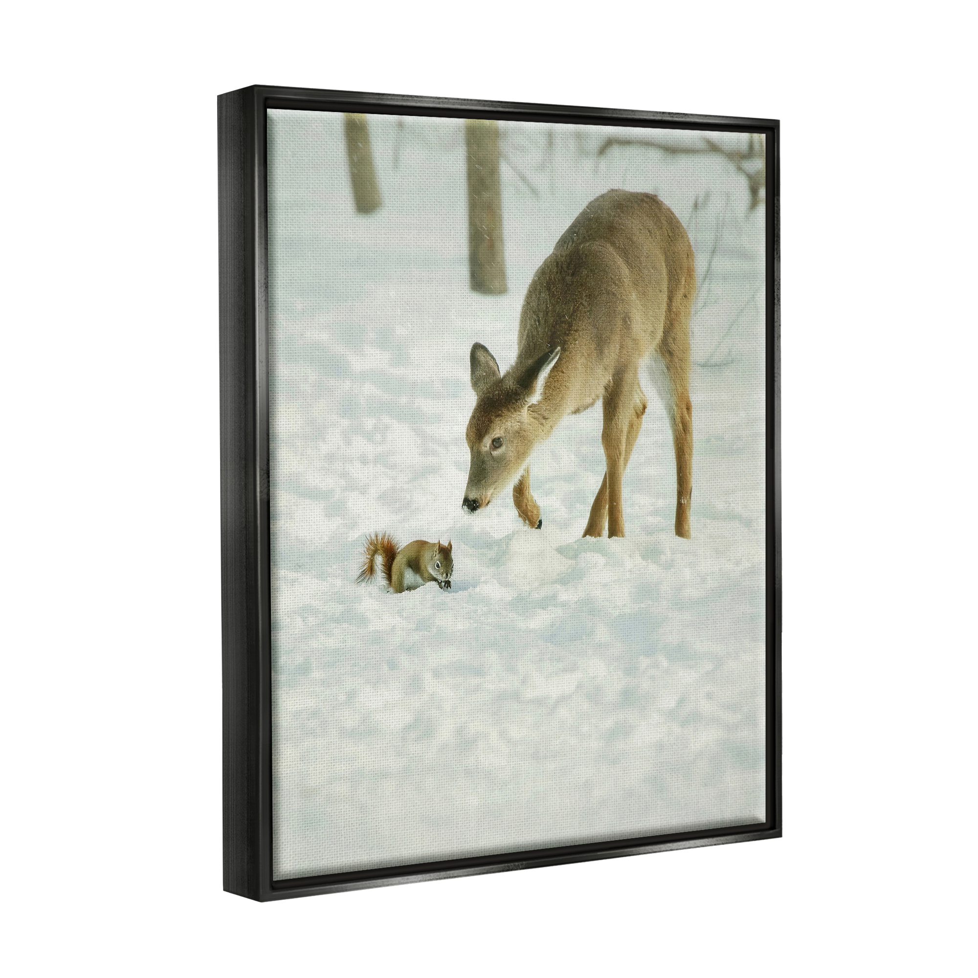 Stupell Industries Deer & Squirrel Snow Scene Animals & Insects Photography Black Floater Framed Art Print Wall Art