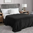 thumbnail image 2 of Cozy Microfiber Extra Soft Solid Color Throw Bed Blanket Queen - Black, 2 of 5