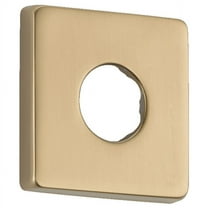 Delta Flange - Shower in Champagne Bronze