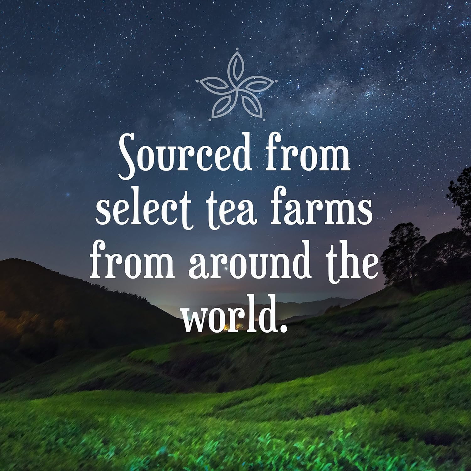 Constellation Tea Assorted Tea Variety Pack Chai, Chamomile, Peppermint, & Hibiscus Tea Pods, 40 Pc