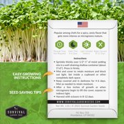 Arugula Microgreens Sprouting Seeds - Partial Sun Annual Vegetable - 5 Packs