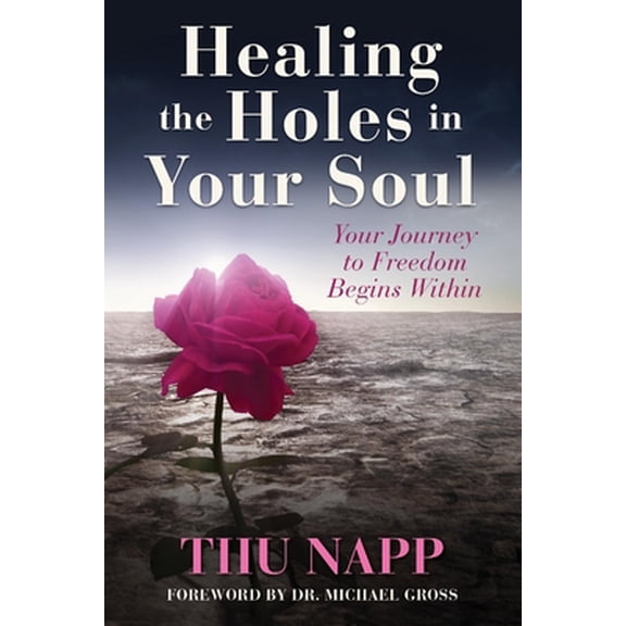 Pre-Owned Healing the Holes in Your Soul: Your Journey to Freedom Begins Within (Hardcover) 1636180728 9781636180724