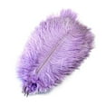 thumbnail image 1 of Lote de 10 plumas de avestruz naturales para manualidades, plumas blancas para jarrones, decoración de bodas, fiestas, accesorios de artesanía, plumas DIY., 1 of 4