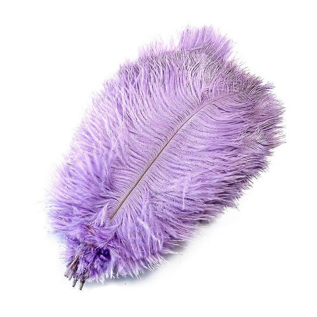 Lote de 10 plumas de avestruz naturales para manualidades, plumas blancas para jarrones, decoración de bodas, fiestas, accesorios de artesanía, plumas DIY.