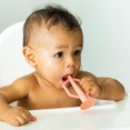 thumbnail image 2 of Tiny Twinkle - Silicone Toothbrush 2 Pack - Coral+Sand, 2 of 3