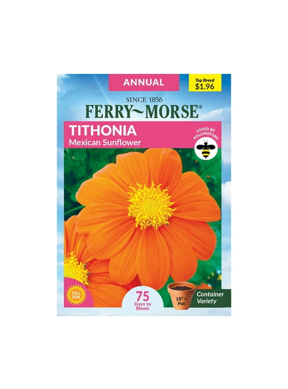 Sunflower Flower Seeds in Seed Gardening