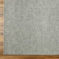 thumbnail image 6 of Livabliss x Becki Owens Birdie Neutral Indoor/Outdoor Area Rug,6'4" x 9',Gray, 6 of 10